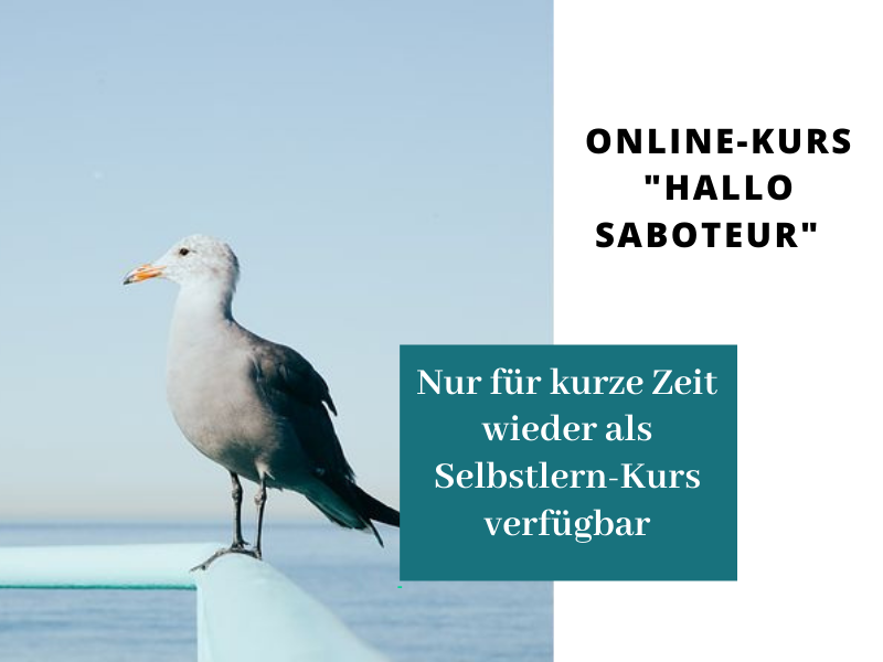Hallo SAboteur SElbstlernkurs