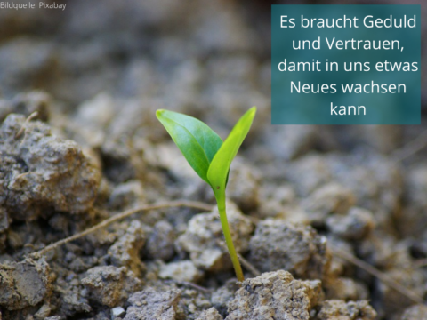 Der Samen in der Hand - Coaching-Azur